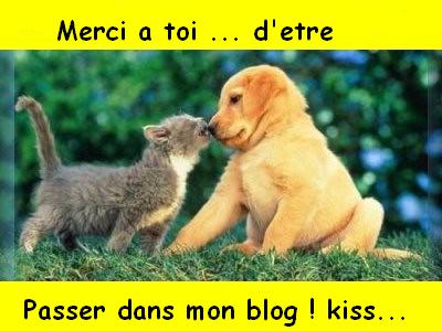 Merci !